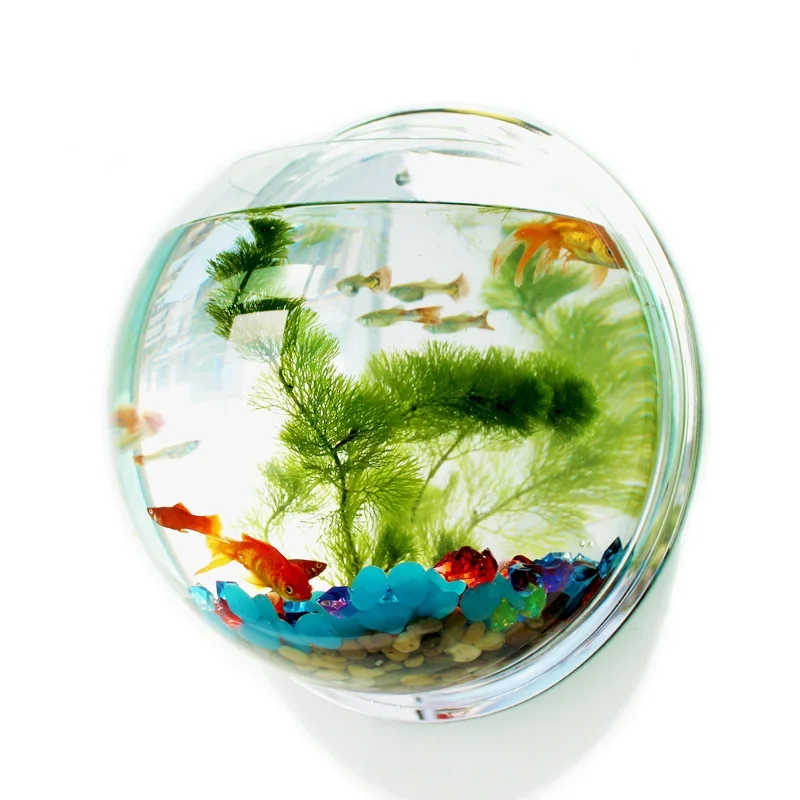 Pet Supplies Fish - Pinsjar 아크릴 어항 벽걸이 수족관 탱크,