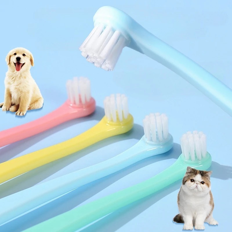 Pet Supplies Hours - 강아지 칫솔 강아지 치아 청소용 소형
