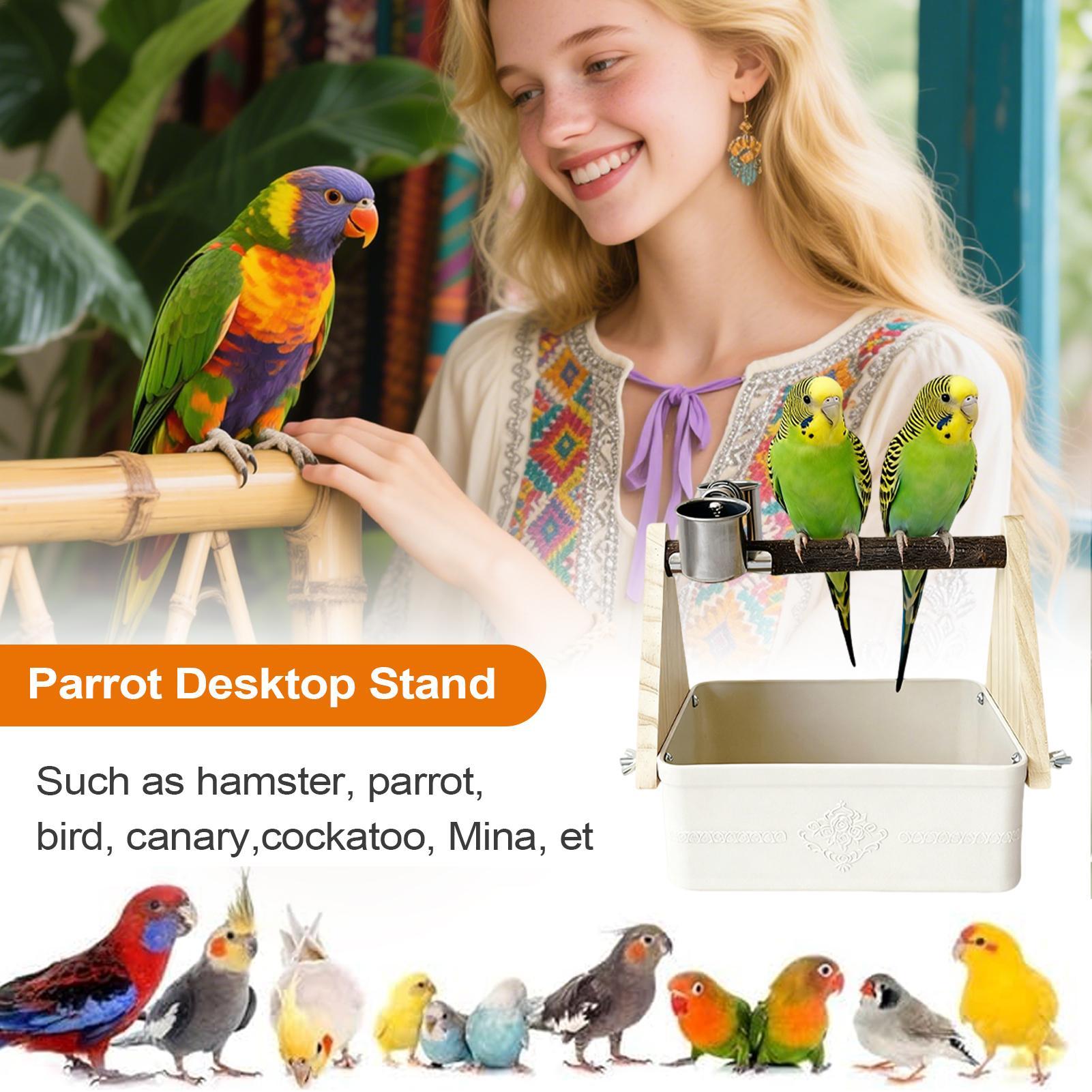 Pet Supplies Zoo - 새 테이블탑 퍼치 러브버드 훈련용품 버킷이