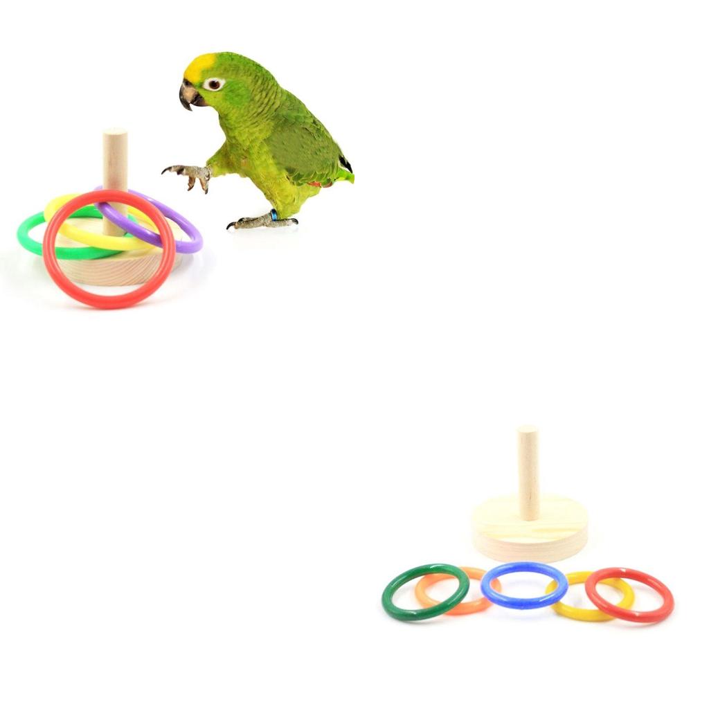 Pet Supplies Ringwood - 새 앵무새 나무 플랫폼 플라스틱 반지
