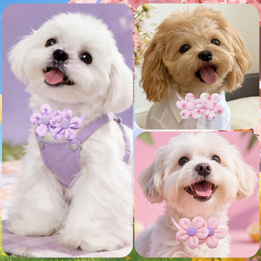 10PCS 꽃 모양 달콤한 개 Bowties 조정 가능 - Pet Supplies Hours 리뷰 및 가격