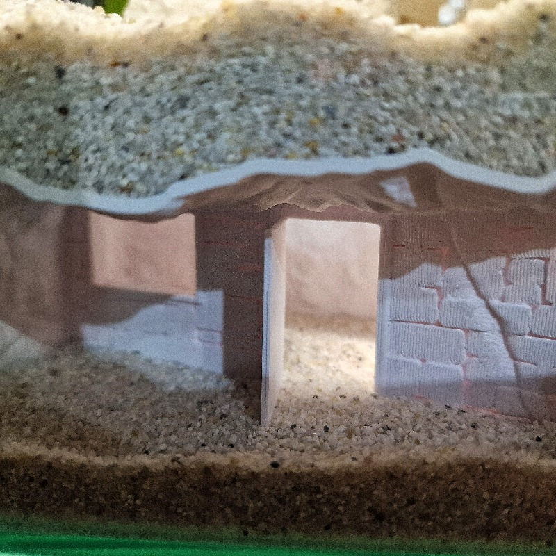 3D 프린팅된 비밀의 집 어항 동굴 수경 장식품 물고기 - Pet Supplies Fish 리뷰 및 가격