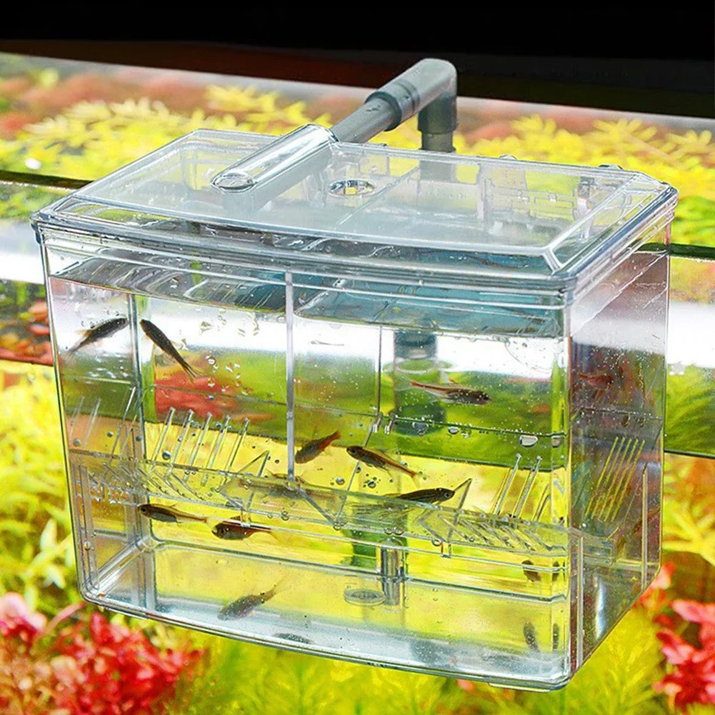 어항 물고기 번식 상자, 수조 외부 걸이식 공압 부화  - Pet Supplies Fish 리뷰 및 가격