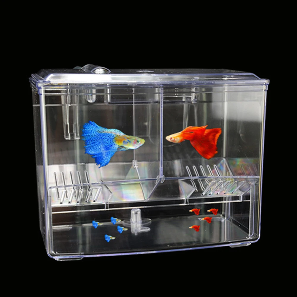 어항 물고기 번식 상자, 수조 외부 걸이식 공압 부화  - Pet Supplies Fish 리뷰 및 가격