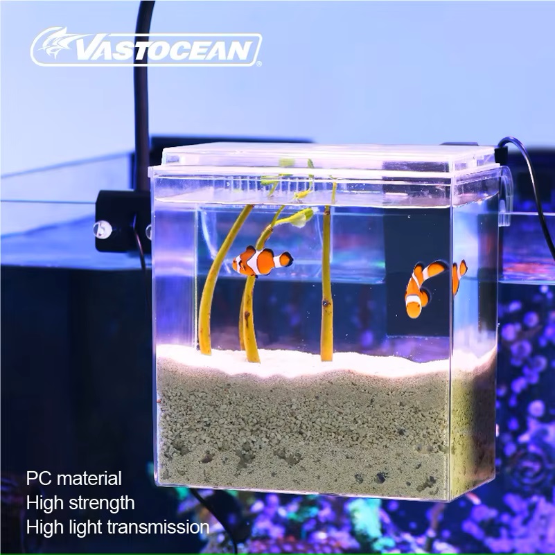 VASTOCEAN 수조 외부 먹이 상자 해양 탱크 확장 - Pet Supplies Fish 리뷰 및 가격
