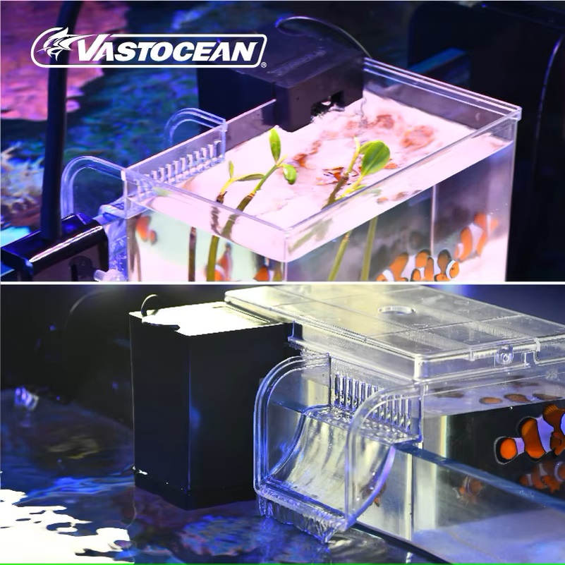 VASTOCEAN 수조 외부 먹이 상자 해양 탱크 확장 - Pet Supplies Fish 리뷰 및 가격