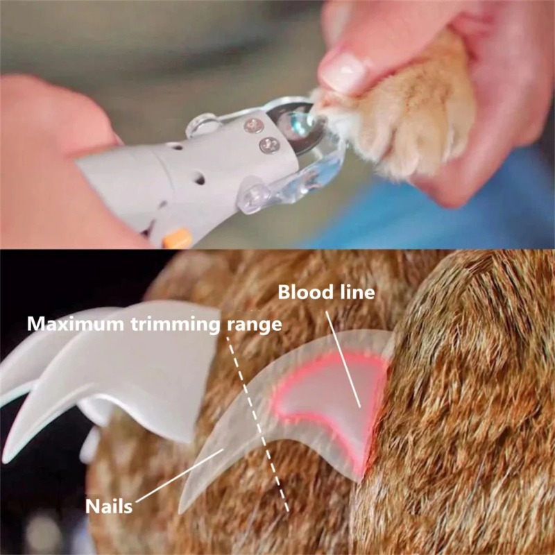 LED 조명이 있는 1개입 애완동물 발톱깎이, 강아지  - Pet Supplies For Dogs 리뷰 및 가격