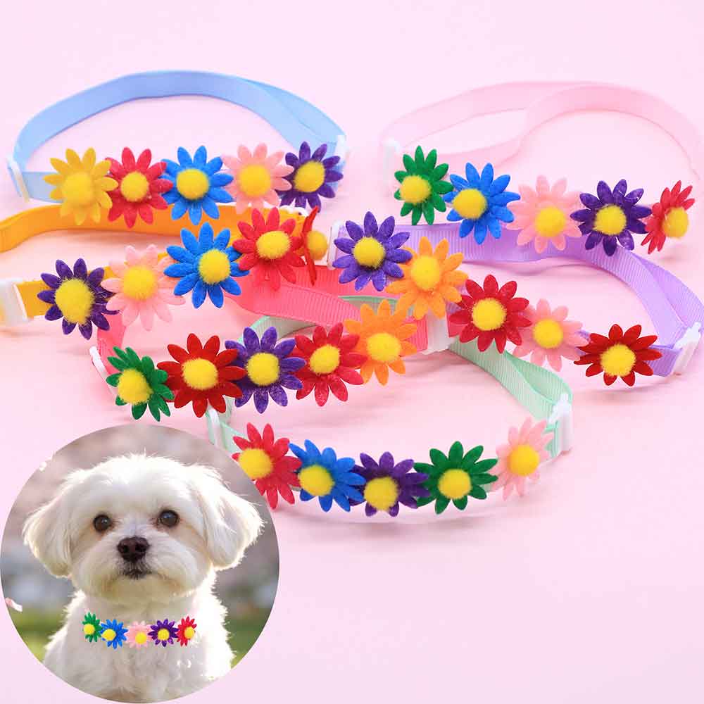 50PCS 다채로운 개 Bowties 작은 개를위한 꽃 - Pet Supplies Hours 리뷰 및 가격