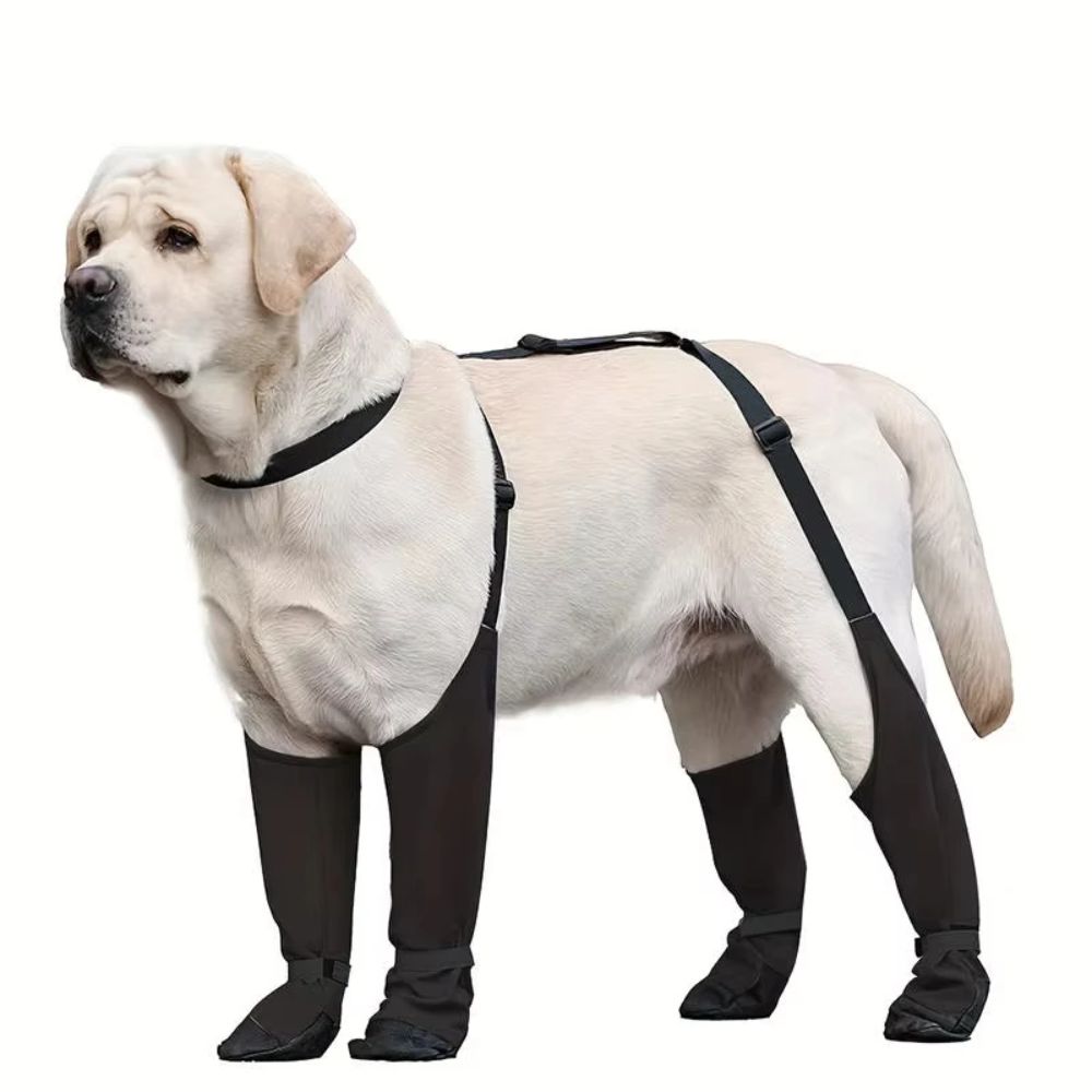 낙하 방지 방수 강아지 신발 조절 가능한 미끄럼 방지  - Dog Booties Paw Protector 리뷰 및 가격