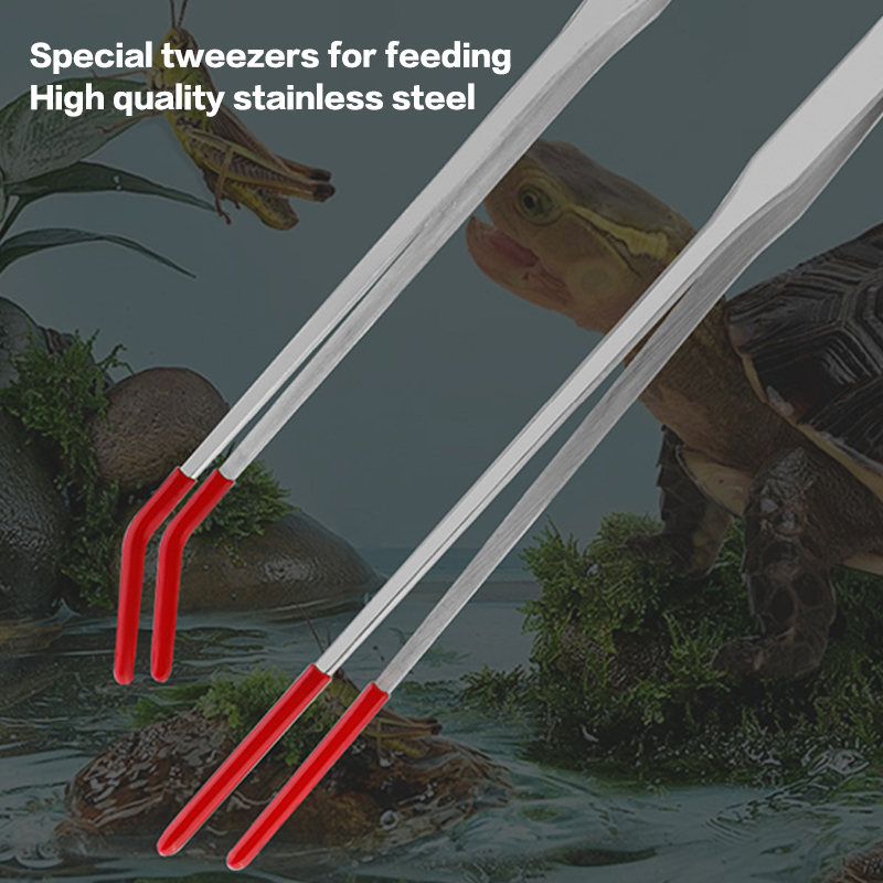스테인리스 스틸 어항 관리 도구, 고무 팁이 있는 파충 - Pet Supplies Fish 리뷰 및 가격