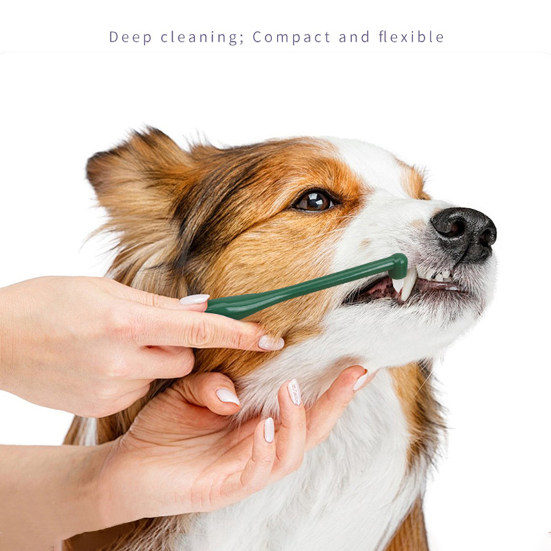 마이크로 헤드 강아지 고양이 칫솔 부드러운 360도 다 - Pet Supplies Hours 리뷰 및 가격