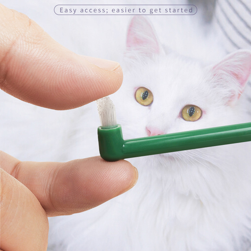 마이크로 헤드 강아지 고양이 칫솔 부드러운 360도 다 - Pet Supplies Hours 리뷰 및 가격