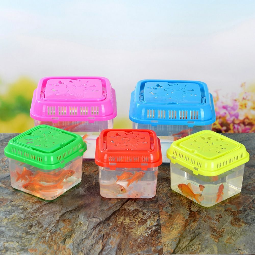 미니 휴대용 어항 애완 동물 용품, 테라리움 소형 플라 - Pet Supplies Fish 리뷰 및 가격