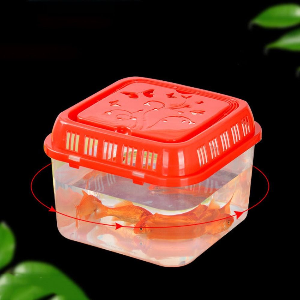미니 휴대용 어항 애완 동물 용품, 테라리움 소형 플라 - Pet Supplies Fish 리뷰 및 가격