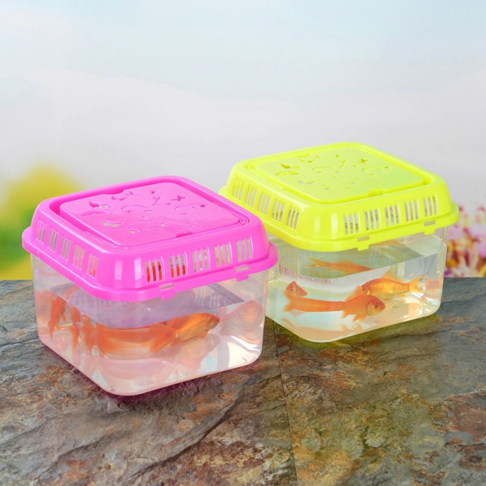미니 휴대용 어항 애완 동물 용품, 테라리움 소형 플라 - Pet Supplies Fish 리뷰 및 가격