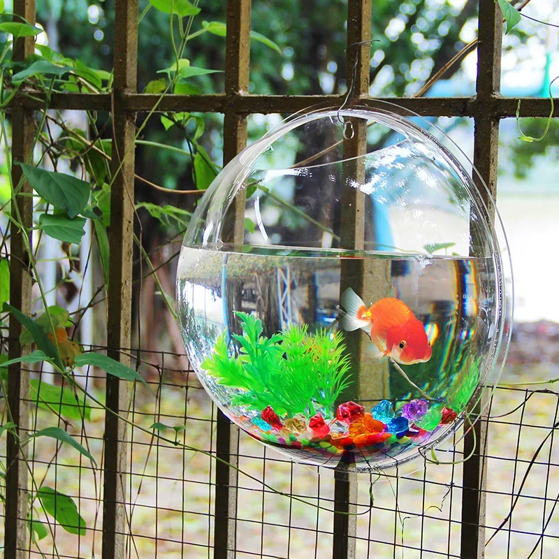 Pinsjar 아크릴 어항 벽걸이 수족관 탱크, 수생  - Pet Supplies Fish 리뷰 및 가격