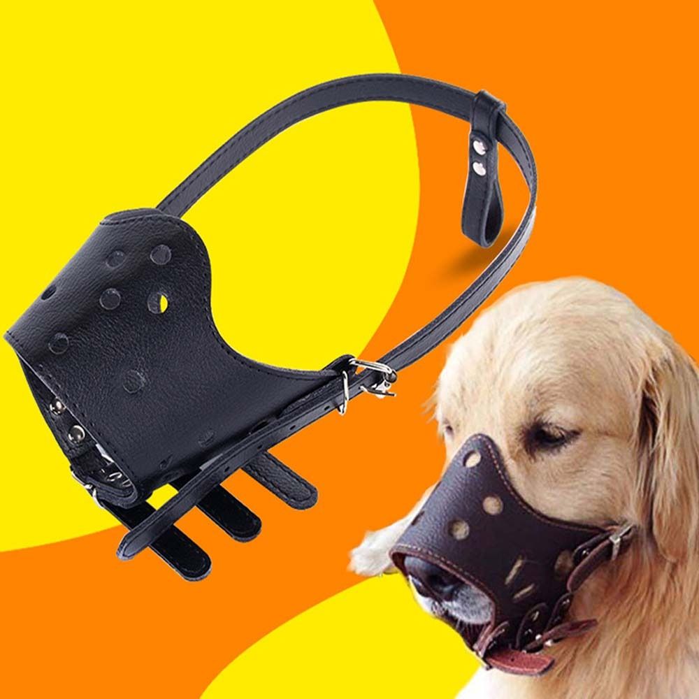 소형견 대형견용 안티 바이팅 안전 안티 바크 씹음 방지 - Pet Supplies Hours 리뷰 및 가격