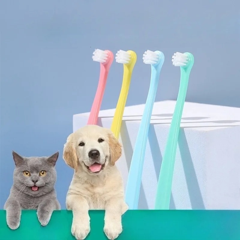 강아지 칫솔 강아지 치아 청소용 소형 헤드 브러쉬 강아 - Pet Supplies Hours 리뷰 및 가격
