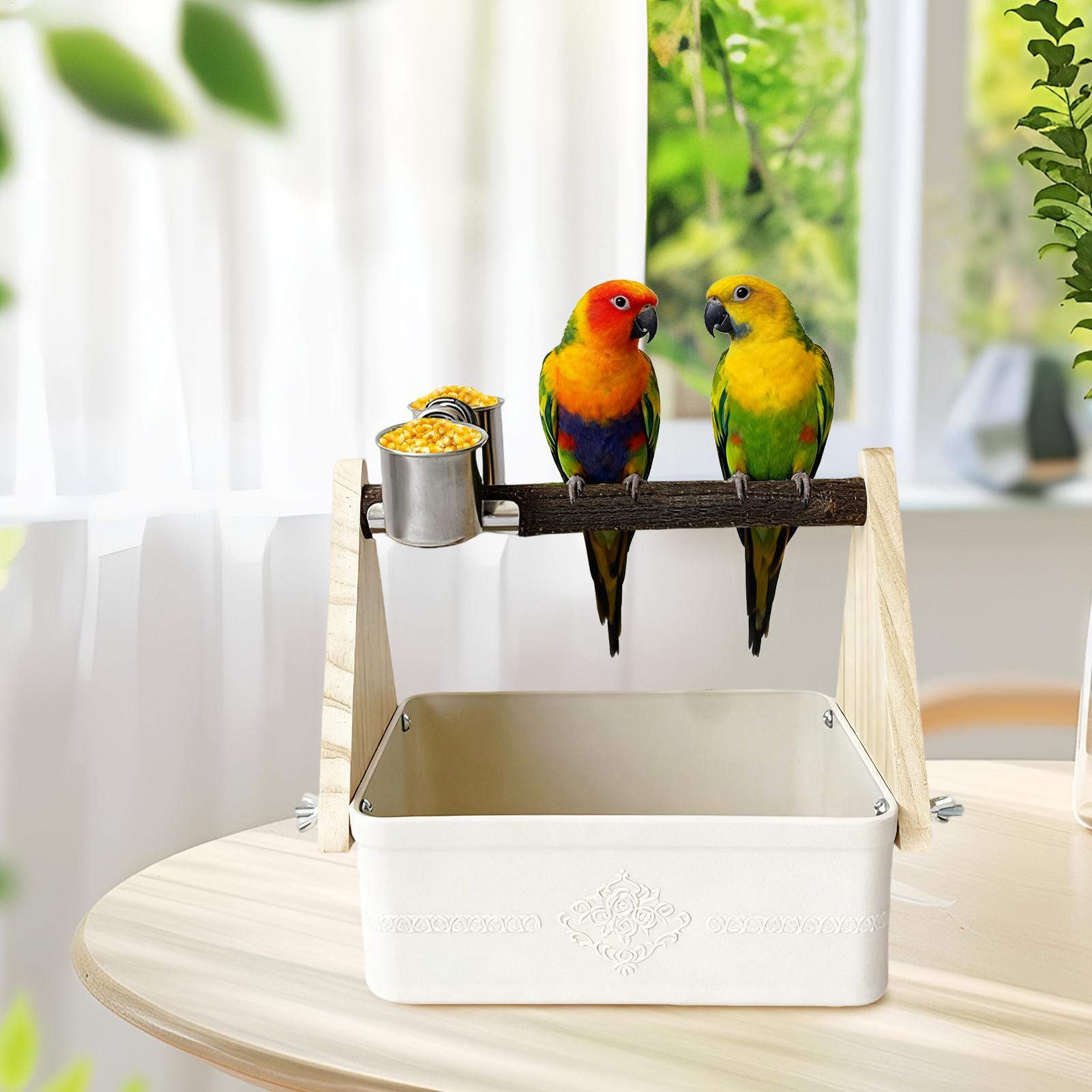 새 테이블탑 퍼치 러브버드 훈련용품 버킷이 있는 새 화 - Pet Supplies Zoo 리뷰 및 가격