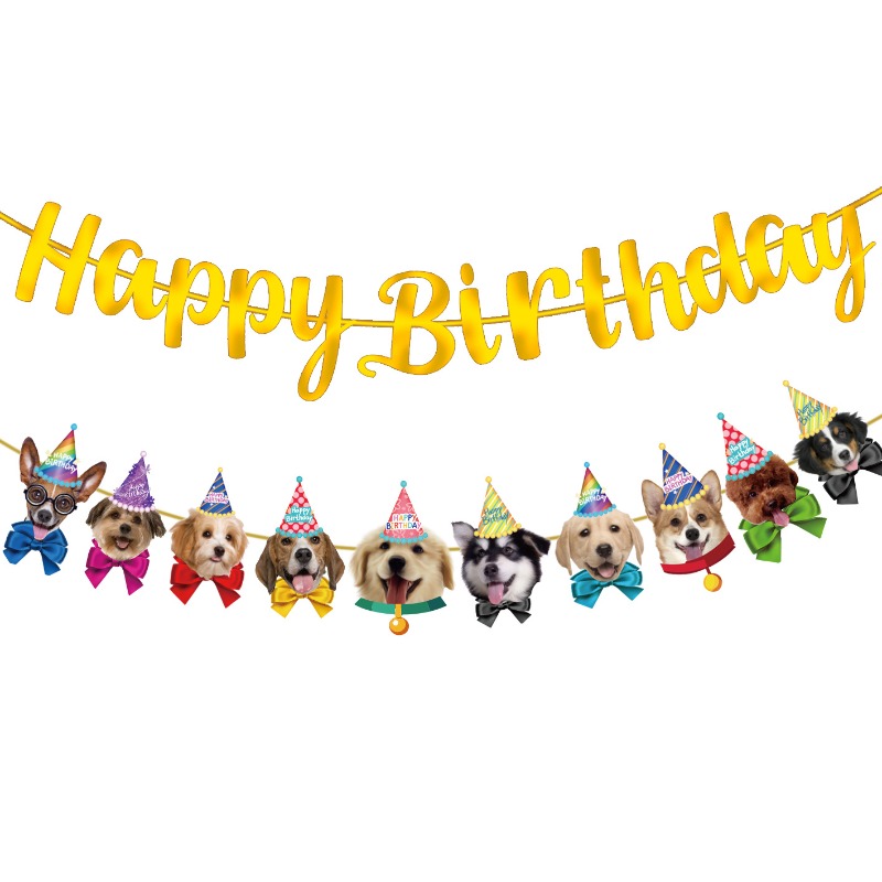 축제 분위기 고양이 강아지 배너 키트, 웃는 반려동물  - Pet Supplies For Dogs 리뷰 및 가격