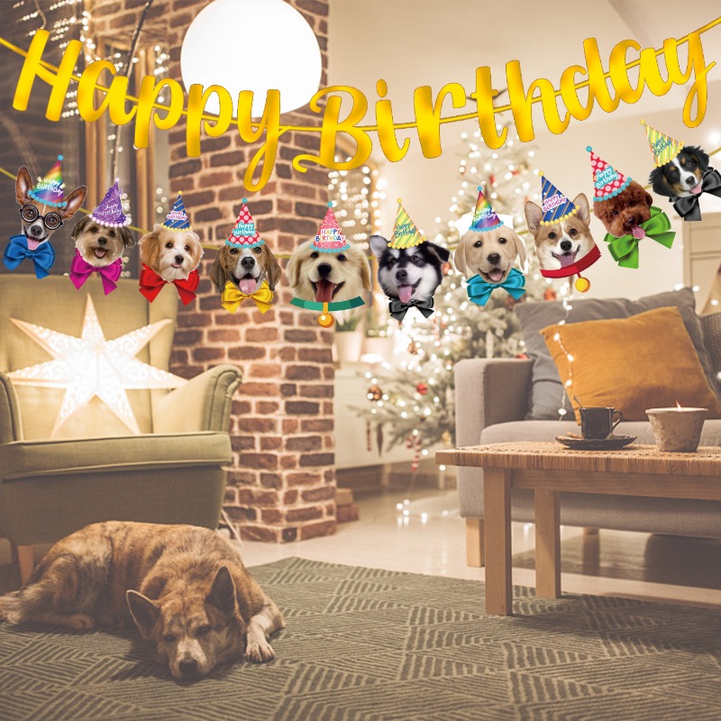 축제 분위기 고양이 강아지 배너 키트, 웃는 반려동물  - Pet Supplies For Dogs 리뷰 및 가격