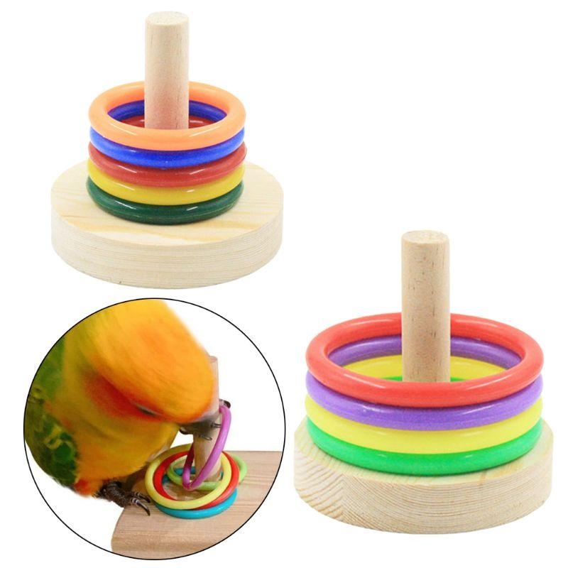 새 앵무새 나무 플랫폼 플라스틱 반지 정보 훈련 씹는  - Pet Supplies Ringwood 리뷰 및 가격