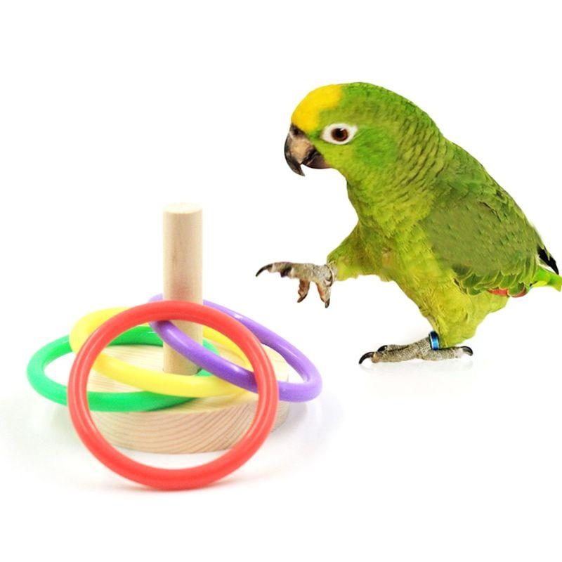 새 앵무새 나무 플랫폼 플라스틱 반지 정보 훈련 씹는  - Pet Supplies Ringwood 리뷰 및 가격