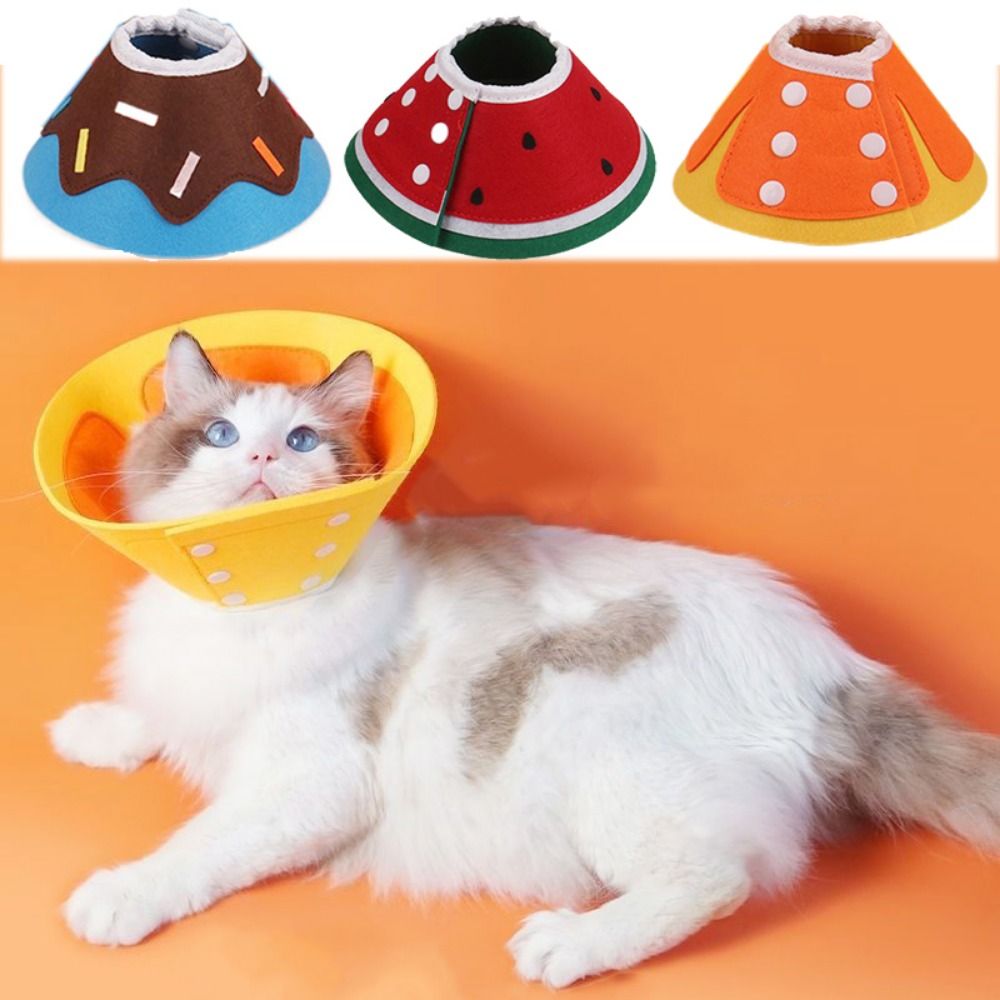 실용적인 부드러운 엘리자베스 칼라, 물림 방지 조절 가 - Pet Supplies Ringwood 리뷰 및 가격