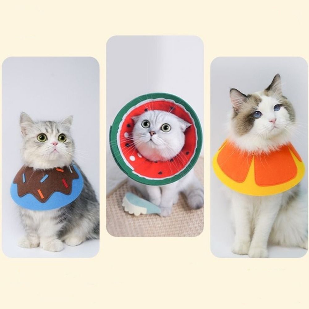 실용적인 부드러운 엘리자베스 칼라, 물림 방지 조절 가 - Pet Supplies Ringwood 리뷰 및 가격