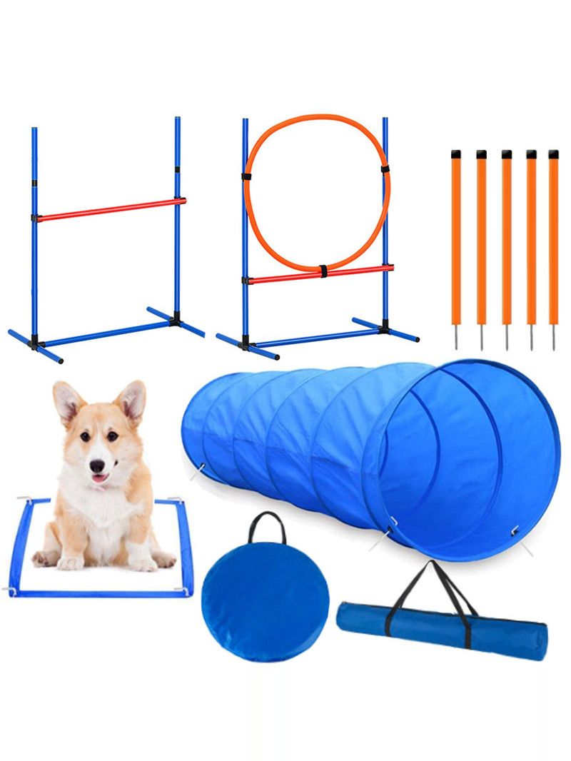 강아지 장애물 훈련 대회 소품 점프 폴 장벽 링 애완용 - Pet Supplies For Dogs 리뷰 및 가격