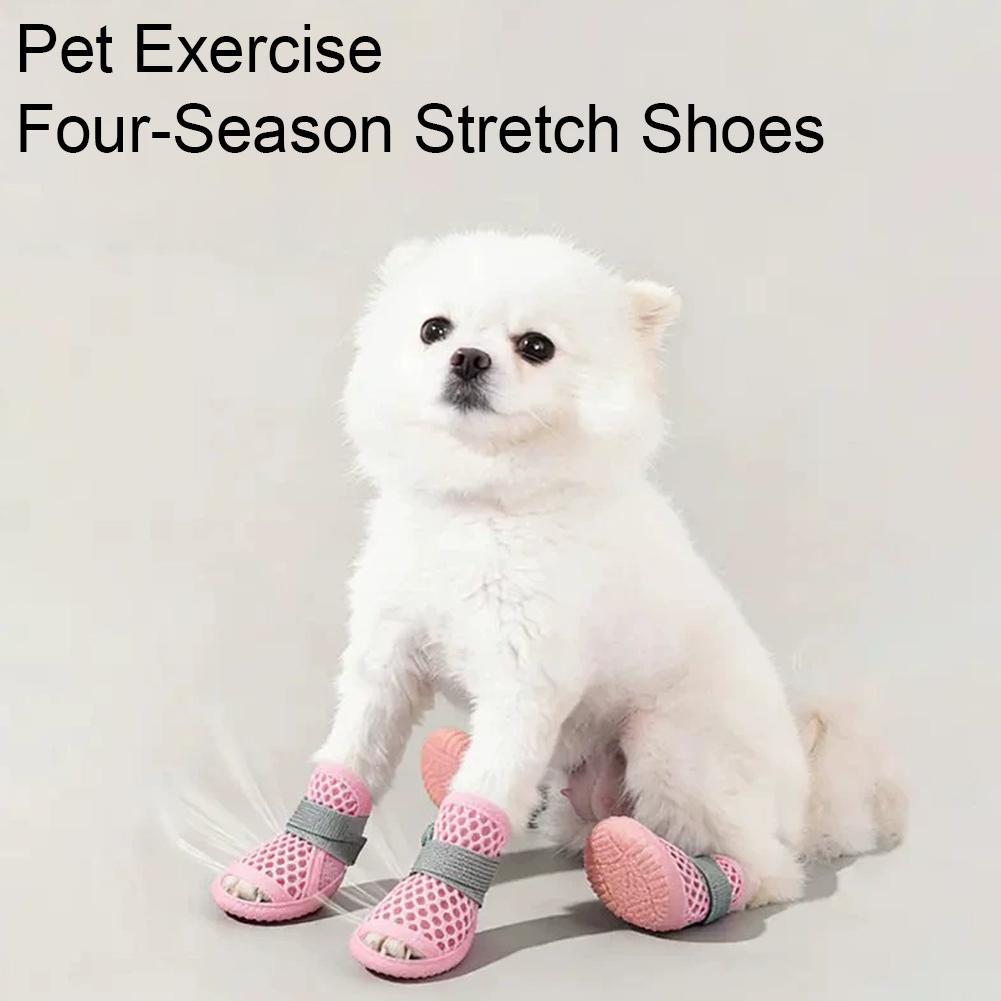여름 통기성 강아지 신발 메쉬 애완견 샌들 미끄럼 방지 - Dog Booties Paw Protector 리뷰 및 가격